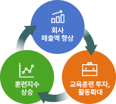 훈련 지수 상승 그래프 ( 회사 매출액 향상, 훈련지수 상승, 교육훈련 투자, 활동확대 )